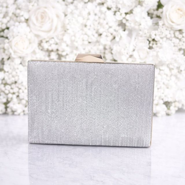 Women’s Silver Glitter Box Clutch Party Wear Handbag